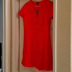 ANN TAYLOR dress